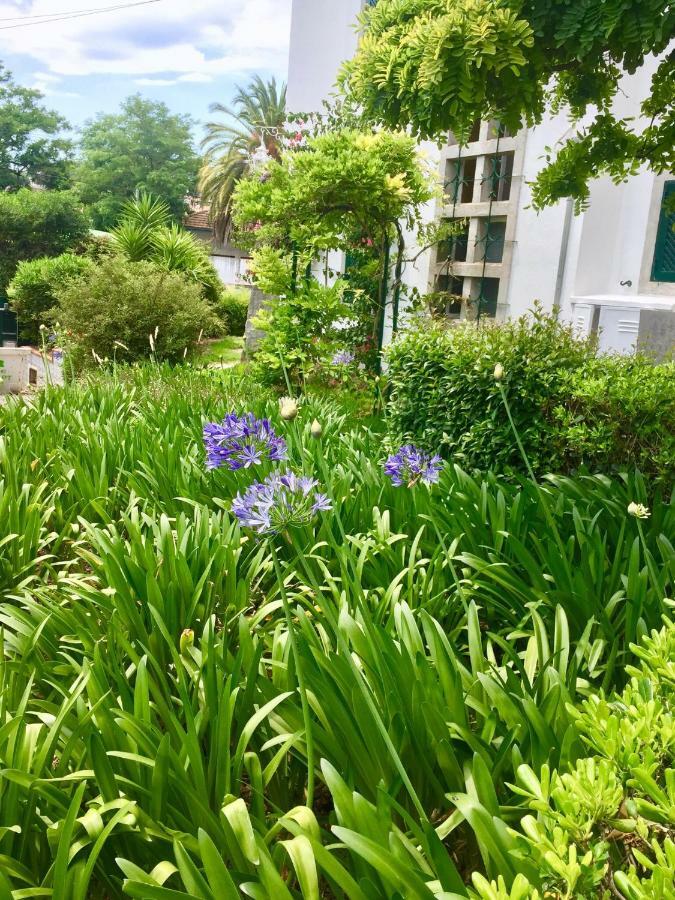 Cascais Seaside Garden Villa Luaran gambar